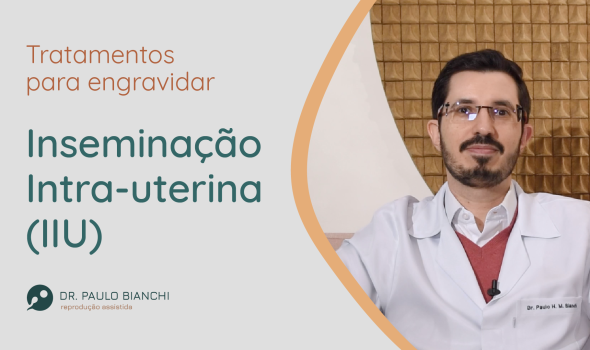 Inseminação Artificial